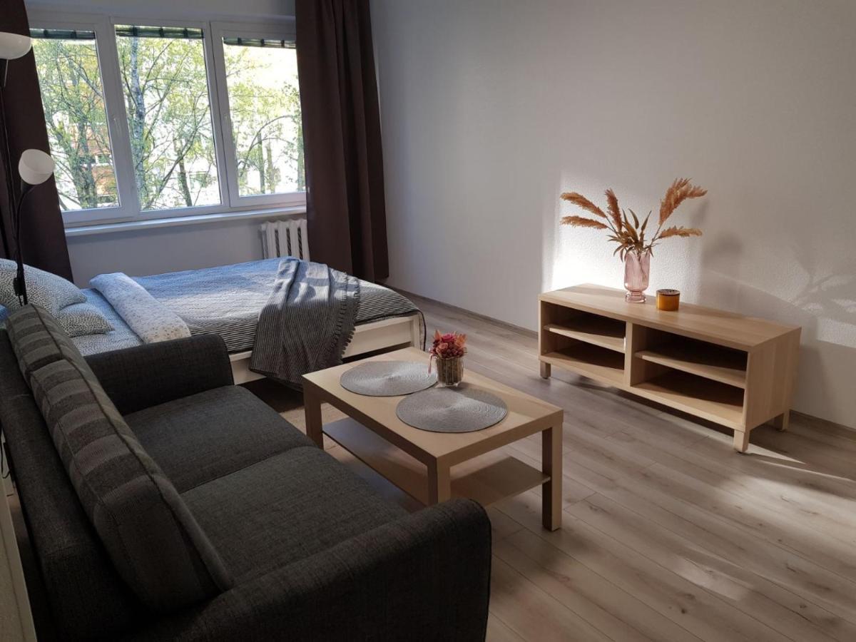 Modern Studio Naujakiemio, Self-Check-In, Free Parking كلابيدا المظهر الخارجي الصورة